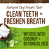 Merrick Fresh Kisses Dog Dental Treats Coconut Plus Botanical Oils Recipe Dog Treats for Medium Breeds