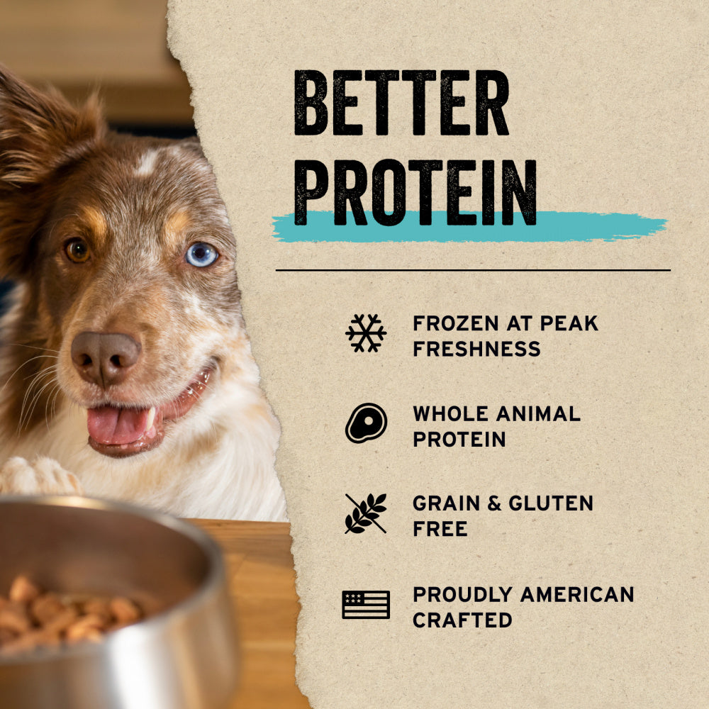 Vital Essentials Freeze Dried Raw Protein Mix In Turkey Recipe Mini Nibs Topper for Dogs