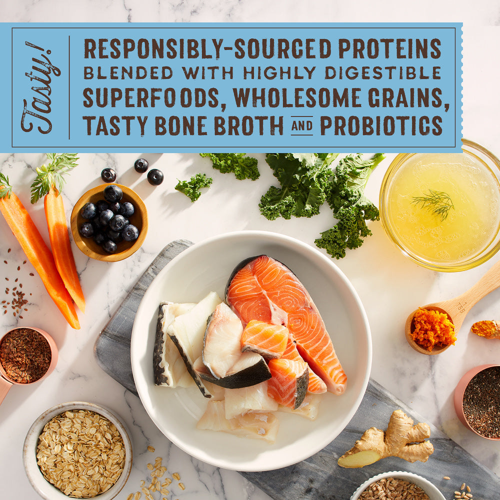 Stella & Chewy's SuperBlends Raw Coated Wholesome Grains Wild Caught Whitefish & Salmon Recipe with Superfoods