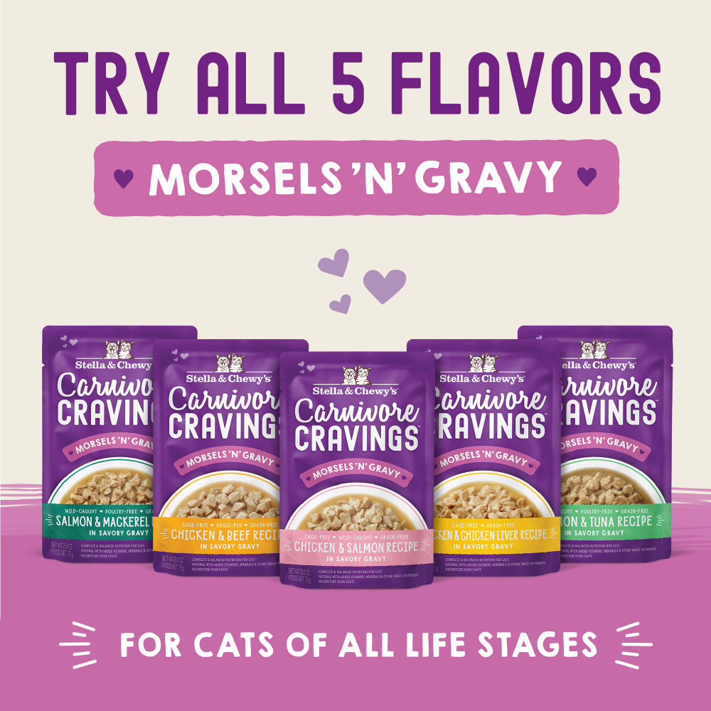 Stella & Chewy's Carnivore Cravings Morsels N Gravy Salmon & Mackerel Recipe Pouch Cat Food